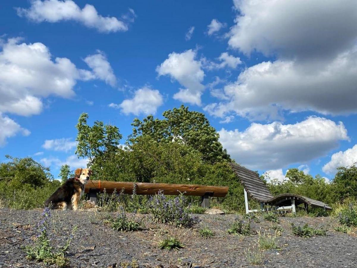 Ferienwohnungen Bauernschmause Polch Exteriör bild